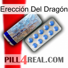 Erección Del Dragón 39